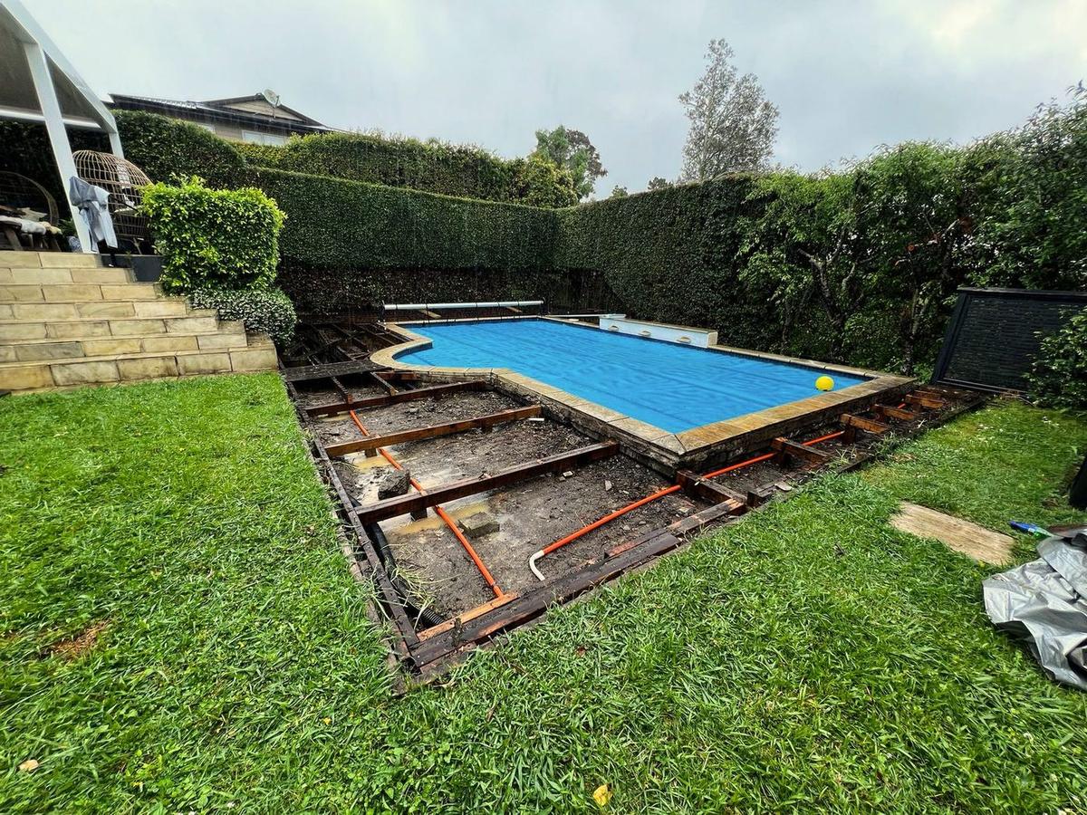 Backyard transformation project photo
